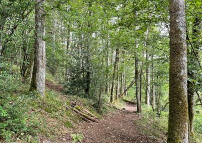 Sentier