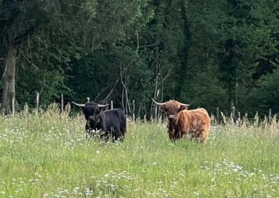 Galerie photos - Highlands
