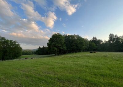 Galerie photos - Nature Limousin